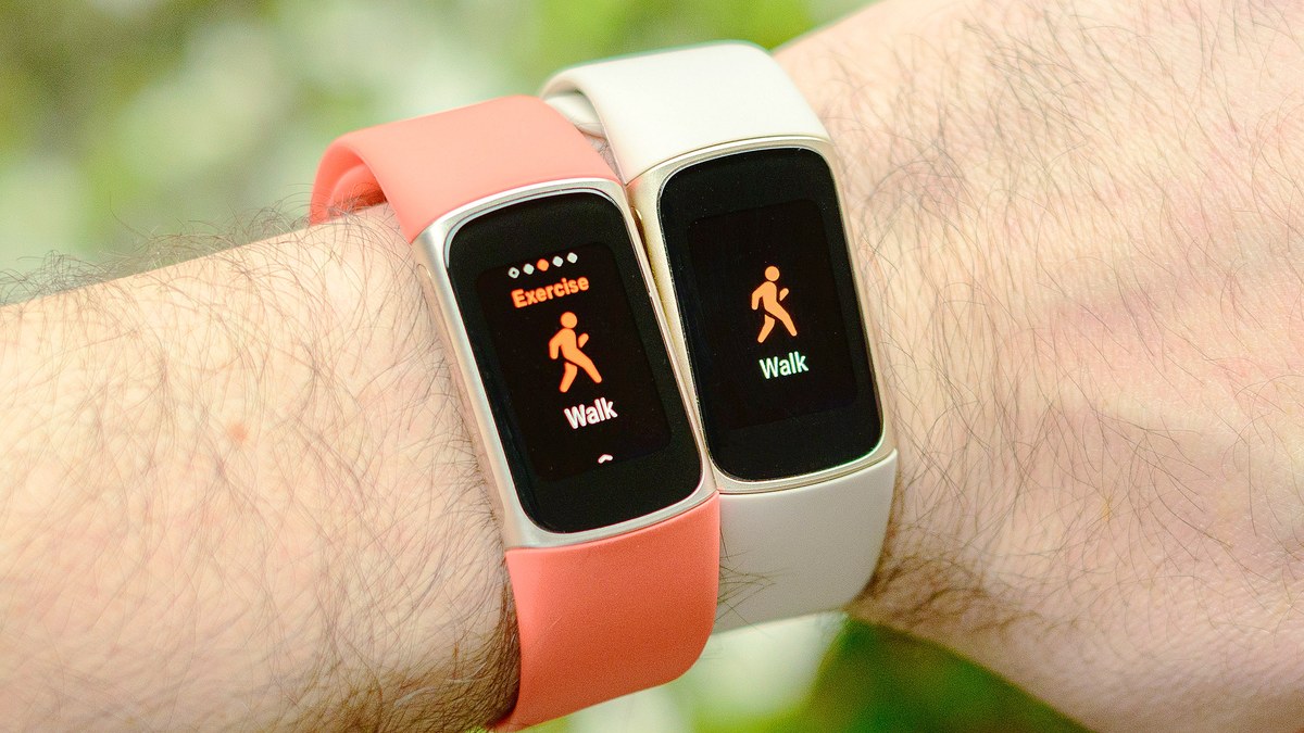 Um novo Fitbit está a caminho — e estaria 'escondido à vista'